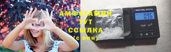 прущие грибы Верхнеуральск