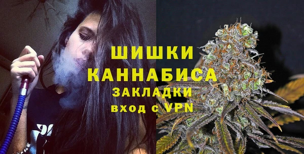 прущие грибы Верхнеуральск