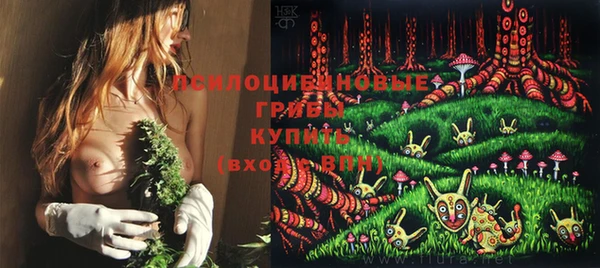 spice Верхний Тагил