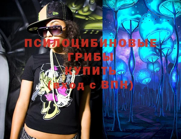 spice Верхний Тагил
