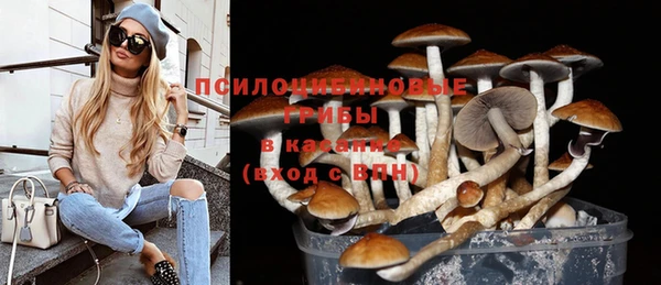 spice Верхний Тагил