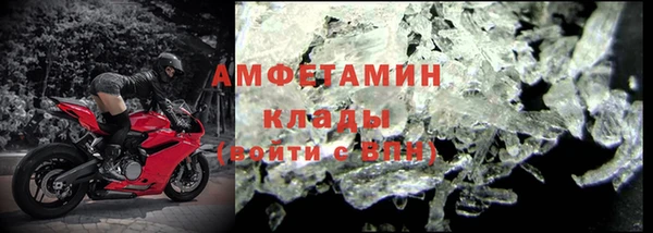 прущие грибы Верхнеуральск