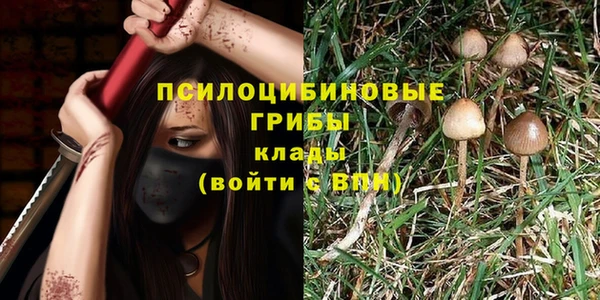 дмт Верея