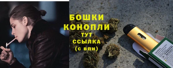 spice Верхний Тагил