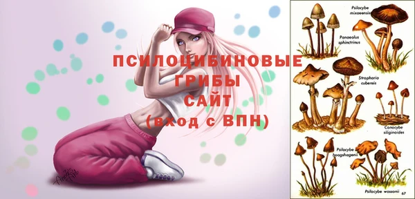 spice Верхний Тагил